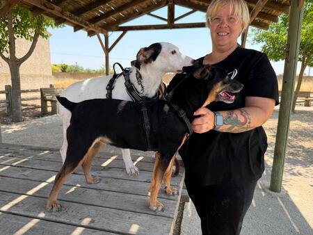 Adopter Cara