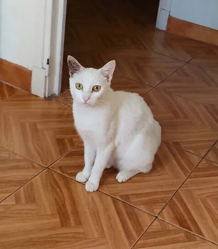 Adopter Bianca