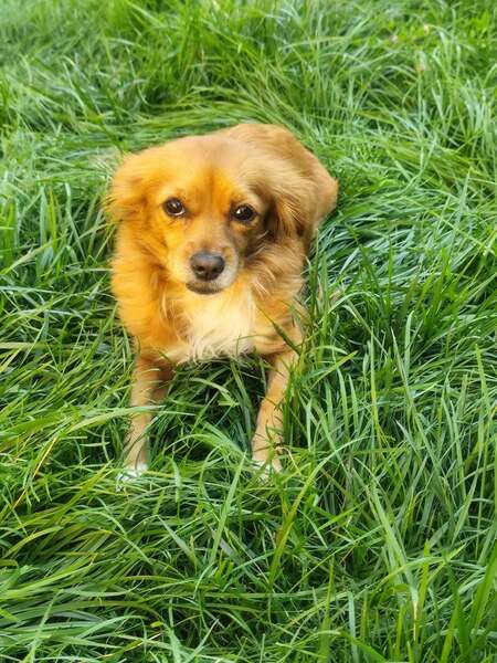 Adopter Rita