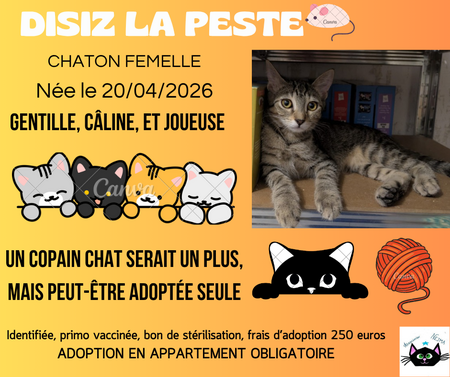 Adopter Disiz la peste