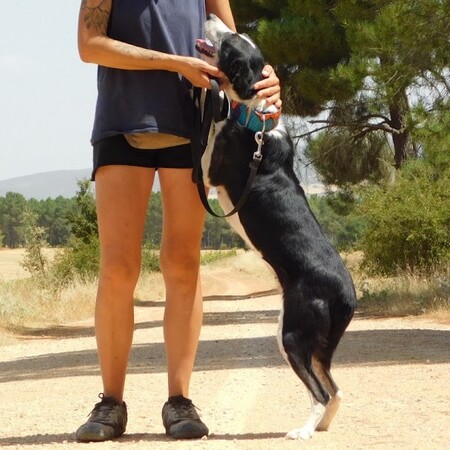 Adopter Toni