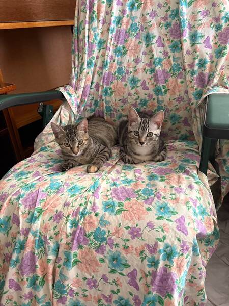 Adopter Celcius et Farenheit