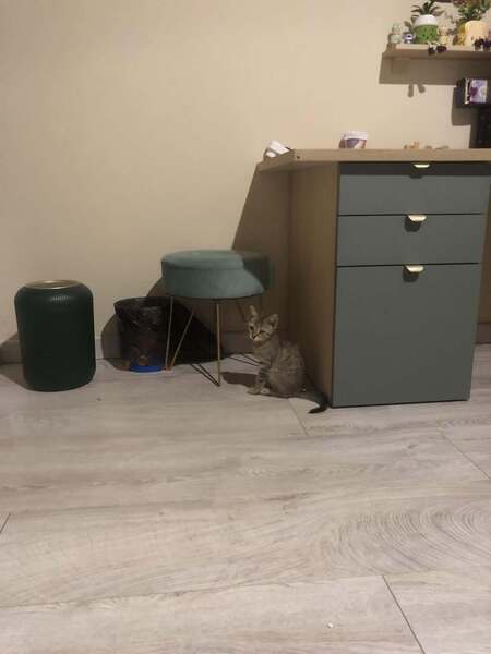 Adopter JOY et HAPPY