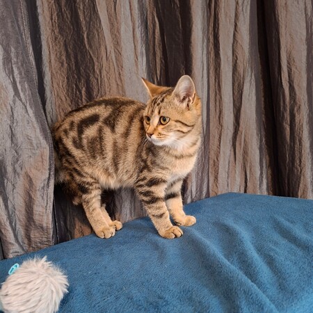 Adopter Mina