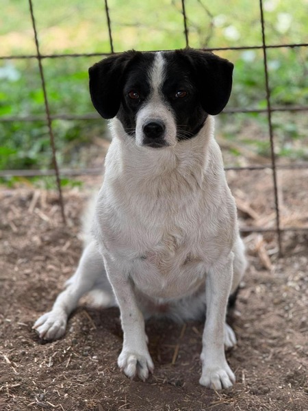 Adopter Léonie