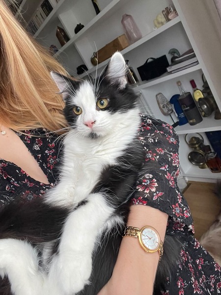 Adopter Berlioz