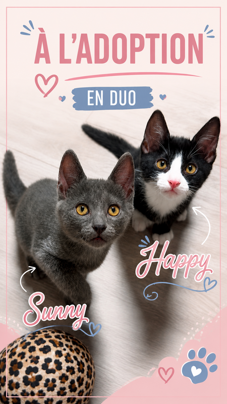 Adopter Happy et Sunny