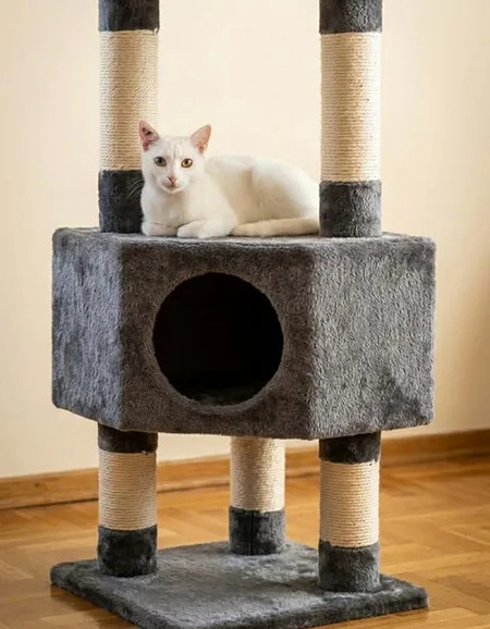 Adopter Bianca