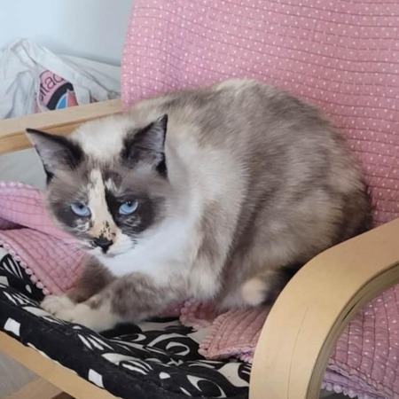 Adopter Héméra