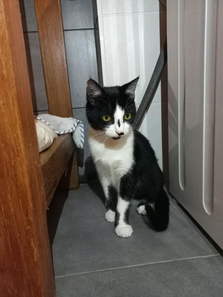 Adopter Bobine 
