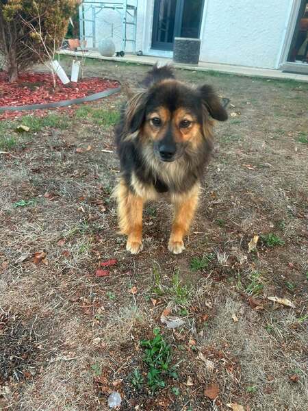 Adopter Carla