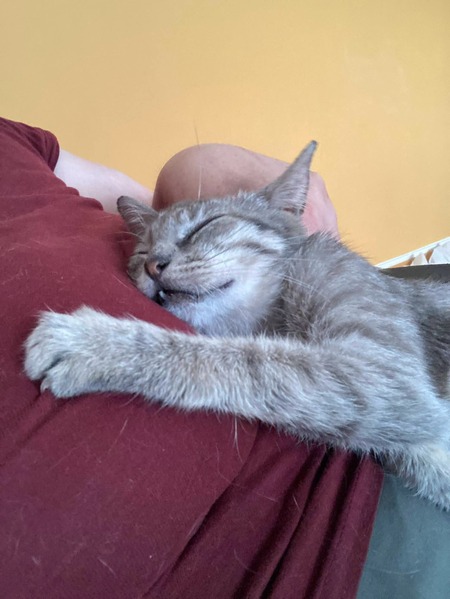 Adopter CALLAS