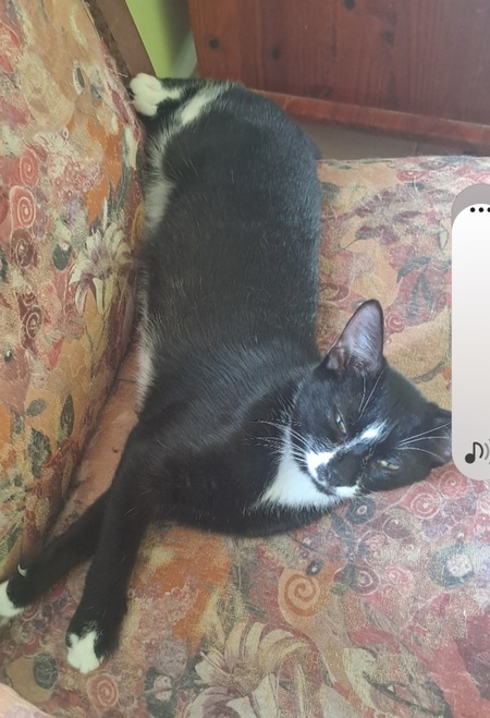 Adopter Emma