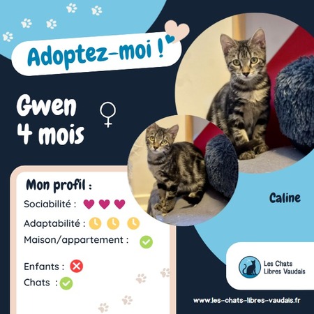 Adopter Gwen
