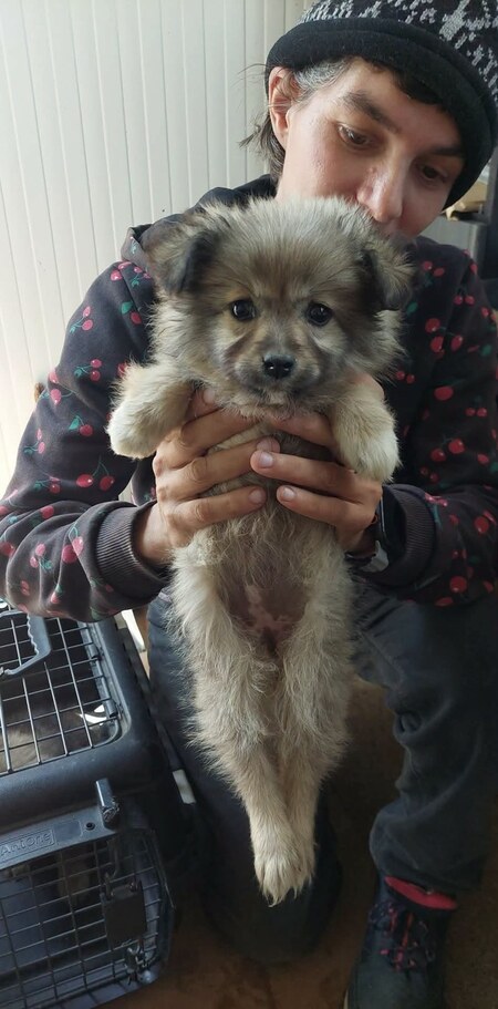 Adopter Bolivia