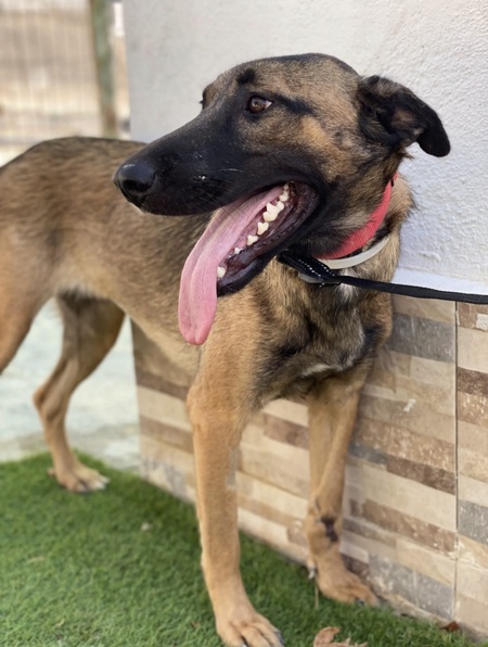 Adopter Beatriz