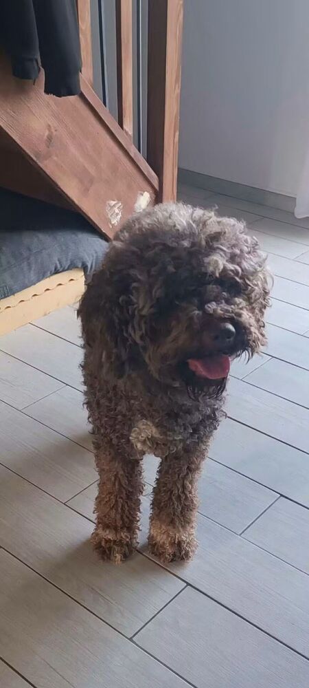 Adopter Emile