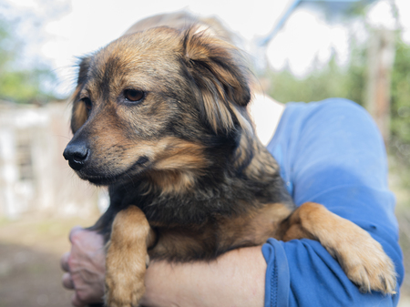 Adopter Enza