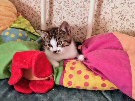 Adopter Esmée