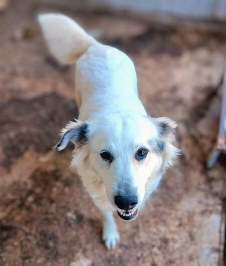 Adopter Nube