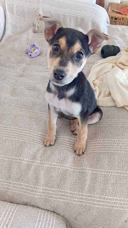Adopter Nuts