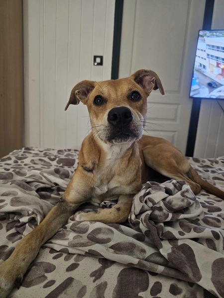 Adopter Yuna