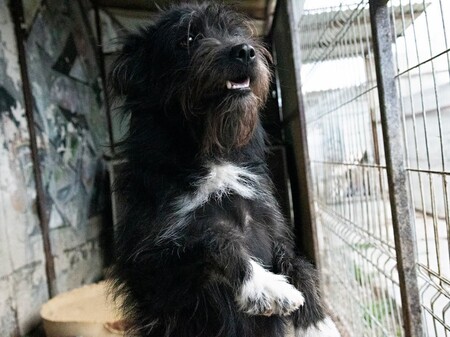 Adopter Rita