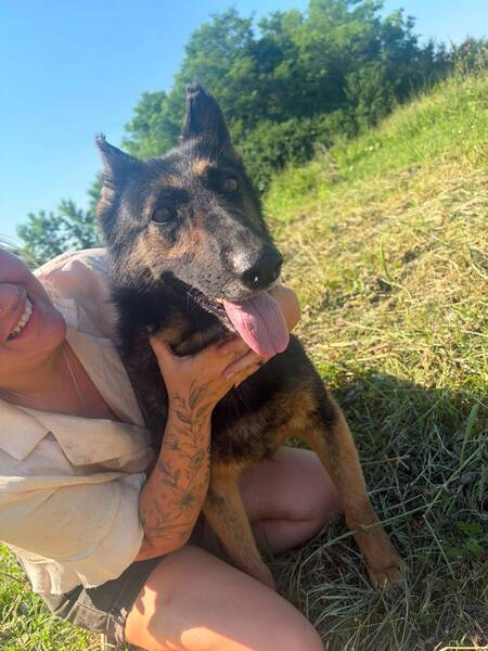 Adopter Liv