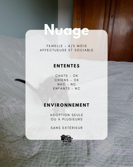 Adopter Nuage