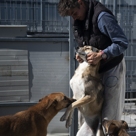 Adopter Diane