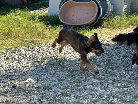 Adopter Leni