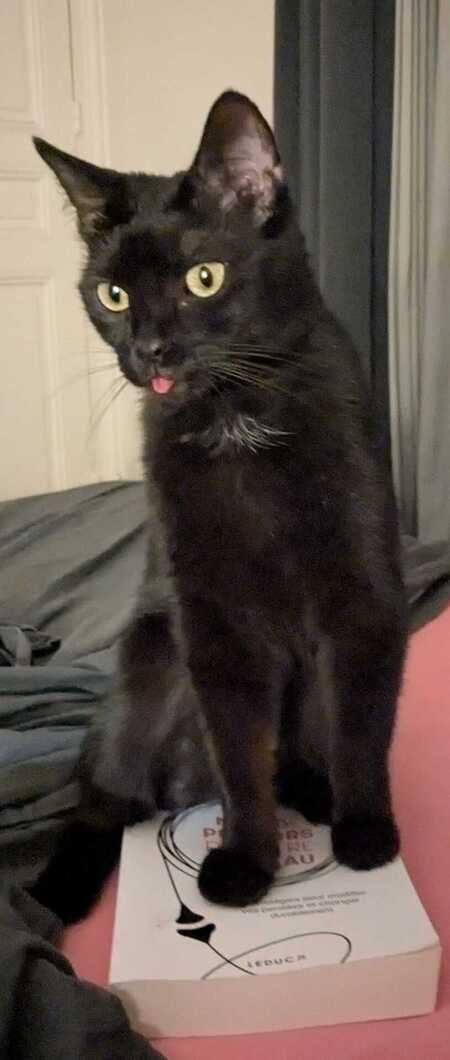 Adopter Chanel