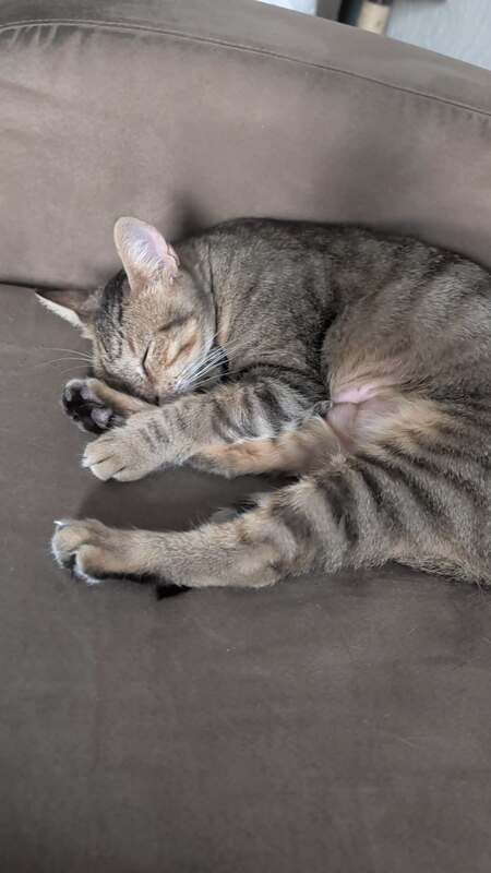 Adopter Tina