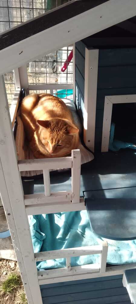 Adopter LILAS