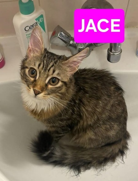 Adopter Jace et Fisher 