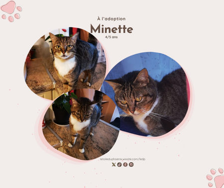 Adopter Minette