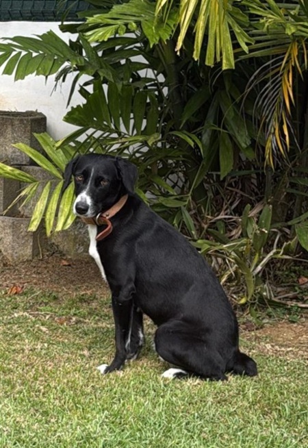 Adopter Tiana