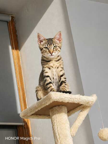 Adopter Bonbon et bulle