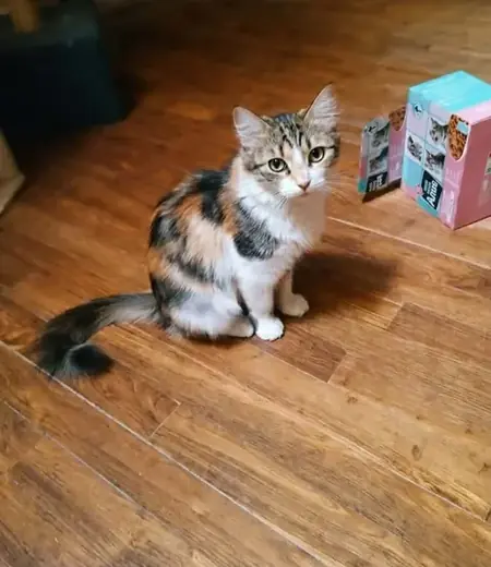 Adopter kathleen