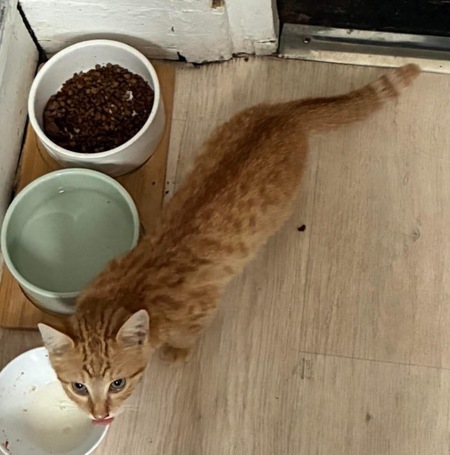 Adopter Sahel 