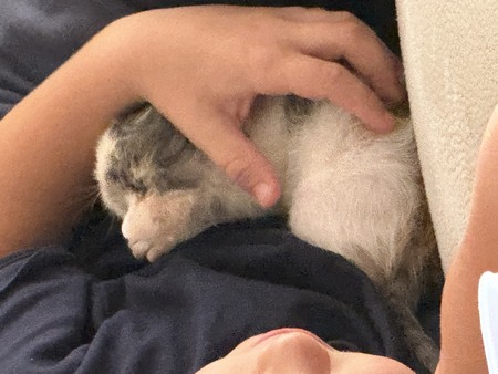 Adopter Blanche