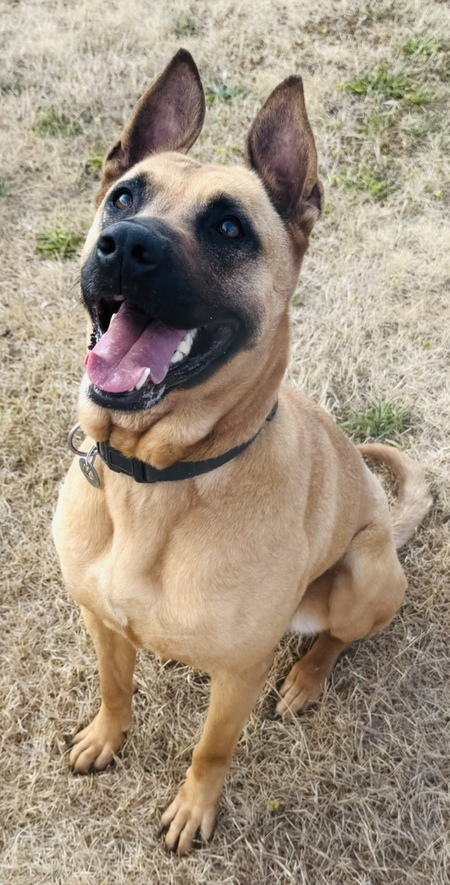 Adopter Mabrouka