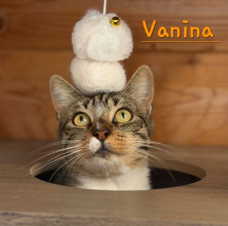 Adopter Vanina