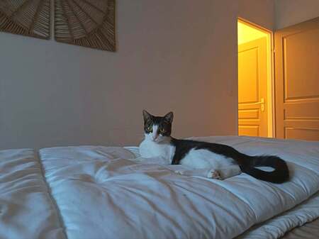 Adopter Mila