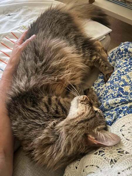 Adopter Sally