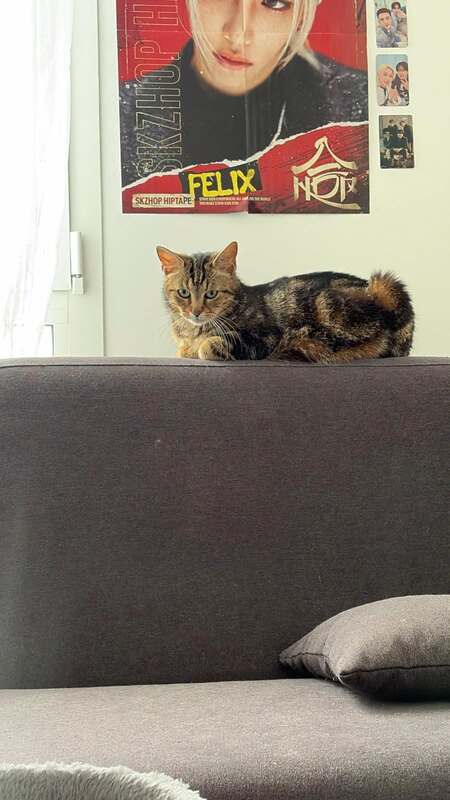 Adopter Bella
