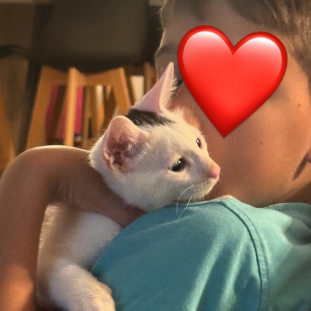 Adopter Tobby