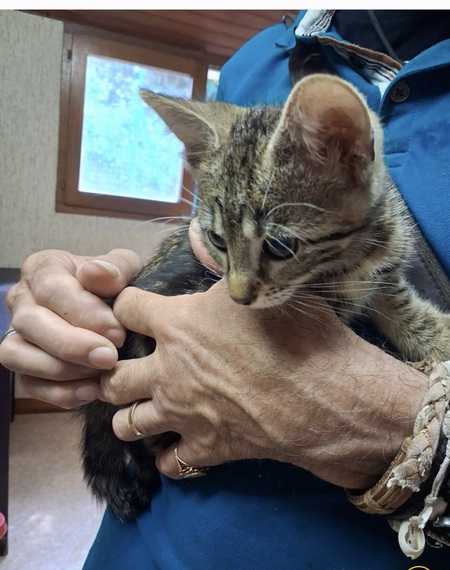 Adopter Batchich 