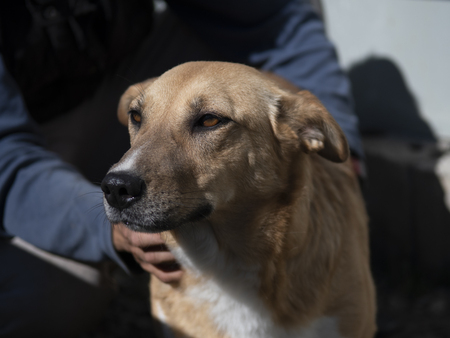 Adopter Julia