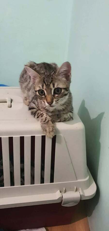 Adopter Boudoir